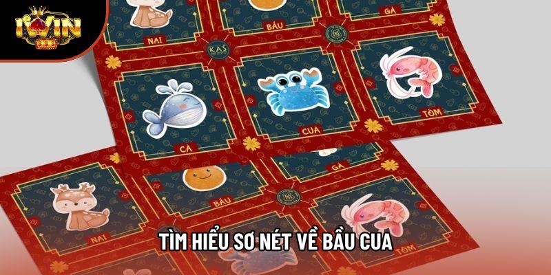 Tìm hiểu sơ nét về bầu cua