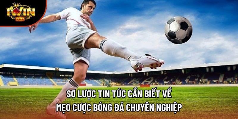 Sơ lược tin tức cần biết về mẹo cược bóng đá chuyên nghiệp